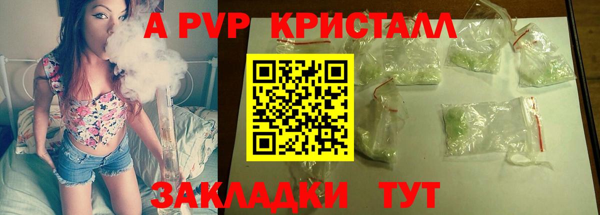 Alfa_PVP крисы CK Нальчик