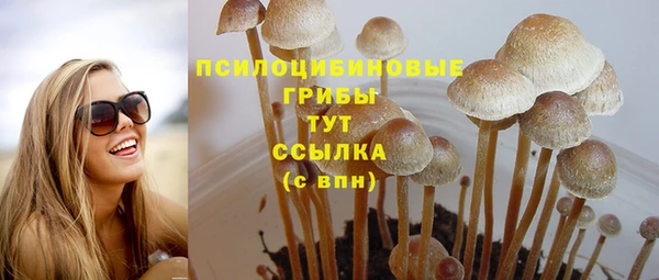 спайс Краснослободск