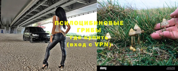 соль курить ск Кукмор