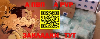 сатива Кингисепп