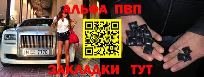 сатива Кингисепп
