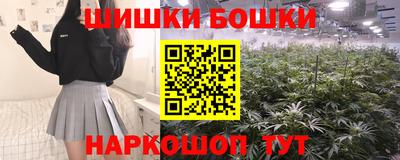 гидра Кинель