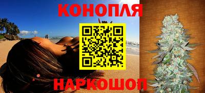 гидра Кинель