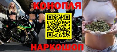 сатива Кингисепп