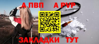 сатива Кингисепп