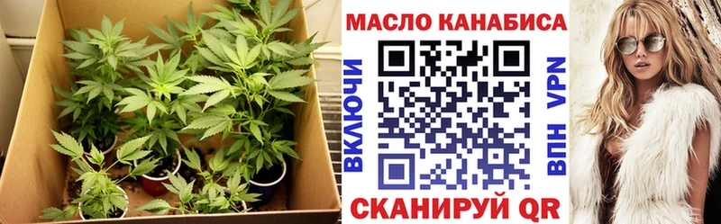 ТГК THC oil  даркнет наркотические препараты  Нальчик  где купить наркоту 