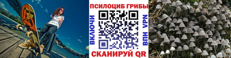 Галлюциногенные грибы мицелий  Нальчик 