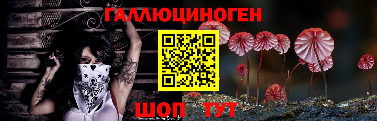 Нальчик  Псилоцибиновые грибы Cubensis  Вход с VPN 