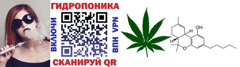 Конопля Bruce Banner  мориарти Telegram  Нальчик  хочу  